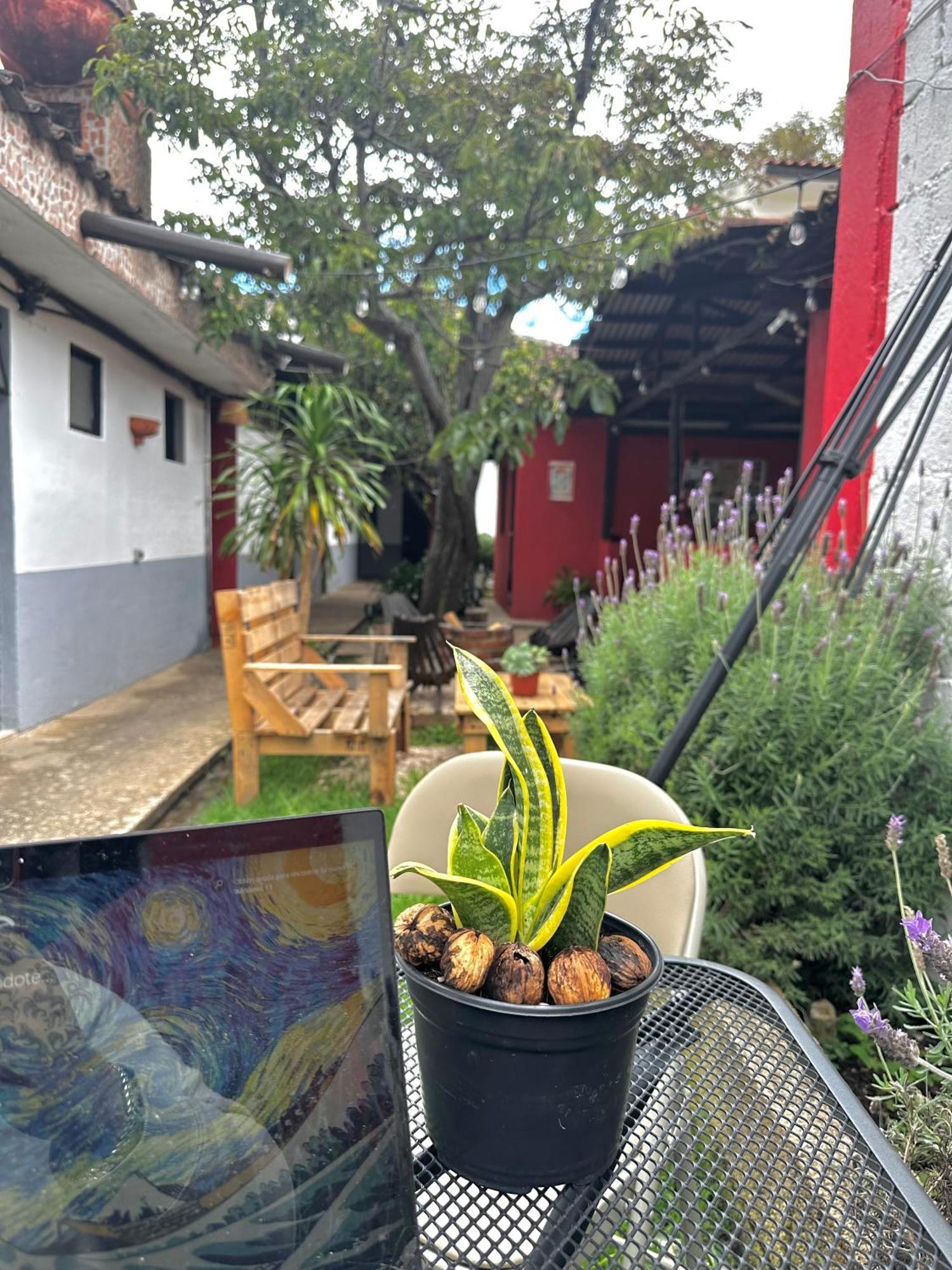 Berlin61 Hotel San Cristobal de las Casas Exterior photo